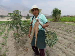 Bäuerin in Peru, Pampas de San Juan