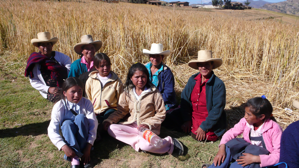 Peru Pango