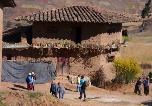 Peru Pango